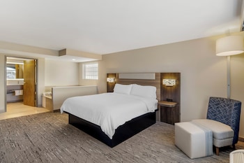 Suite, 1 King Bed with Sofa bed (Whirlpool)