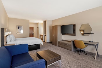 Standard Room, 1 King Bed with Sofa bed