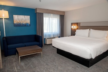 Standard Room, 1 King Bed with Sofa bed