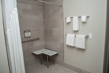 Standard Room, Accessible (Mobil Roll In Shwr)