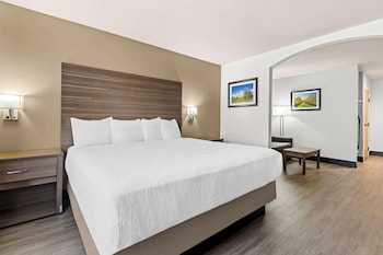 Suite, 1 King Bed, Accessible, Bathtub (Larger Room)