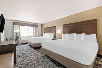 Executive Suite, Multiple Beds, Non Smoking (Larger Room)