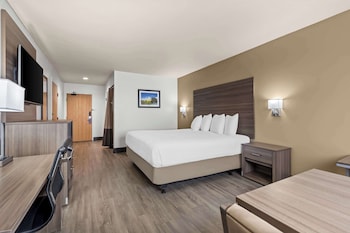 Standard Room, 1 King Bed, Accessible, Non Smoking (Roll-In Shower)