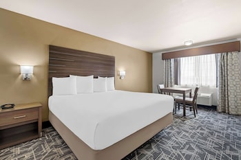 Standard Room, 1 King Bed, Non Smoking, Refrigerator & Microwave