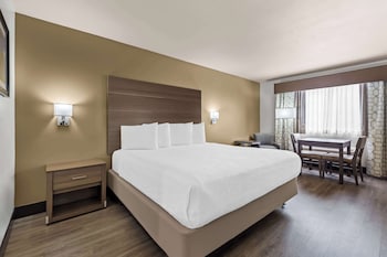 Suite, 1 King Bed, Accessible, Bathtub (Larger Room)