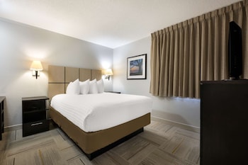 Suite, 1 Queen Bed with Sofa bed (One Bedroom)