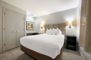 Suite, 1 Queen Bed with Sofa bed (One Bedroom)