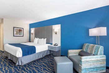 Standard Room, 1 King Bed, Non Smoking, Refrigerator & Microwave