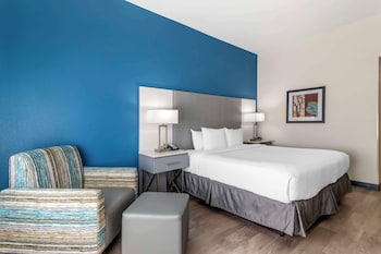 Standard Room, 1 King Bed, Accessible, Non Smoking