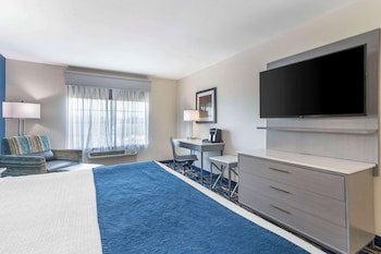 Standard Room, 1 King Bed, Non Smoking, Refrigerator & Microwave