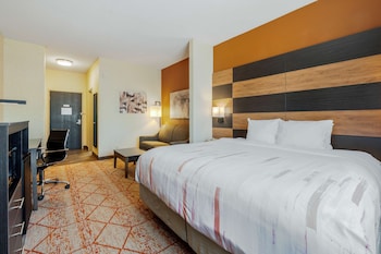 Standard Room, 1 King Bed, Non Smoking, Refrigerator & Microwave (with Sofabed)
