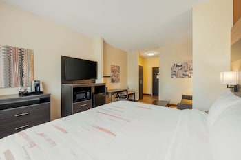 Standard Room, 1 King Bed, Non Smoking, Refrigerator & Microwave (with Sofabed)