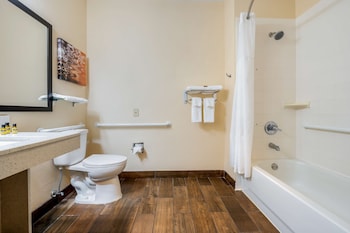 Standard Room, 1 King Bed, Accessible, Refrigerator & Microwave