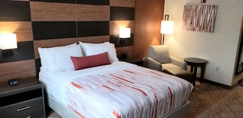 Standard Room, 1 King Bed, Non Smoking, Kitchenette