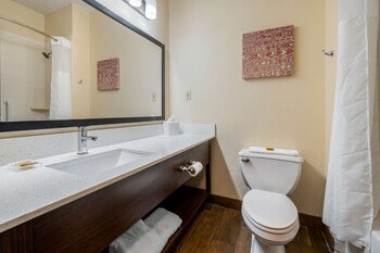 Standard Room, 1 King Bed, Non Smoking, Refrigerator & Microwave