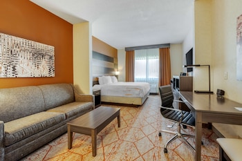 Standard Room, 1 King Bed, Non Smoking, Refrigerator & Microwave (with Sofabed)