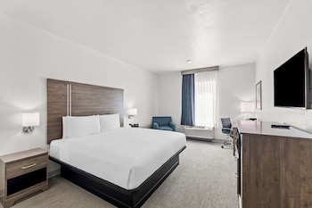 Room, 1 King Bed, Accessible, Non Smoking