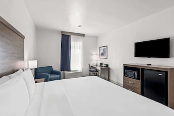 Room, 1 King Bed, Accessible, Non Smoking