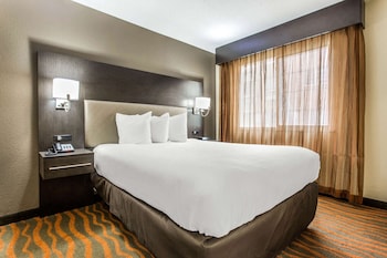 1 Queen Bed, 1 Bedroom Suite, Full Kitchen