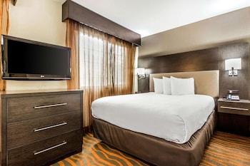 1 Queen Bed, Studio Suite, Full Kitchen