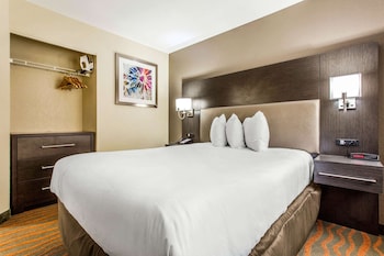 1 Queen Bed, 1 Bedroom Suite, Full Kitchen