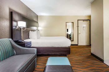 1 Queen Bed, Mobility and Hearing Accessible, Studio Suite