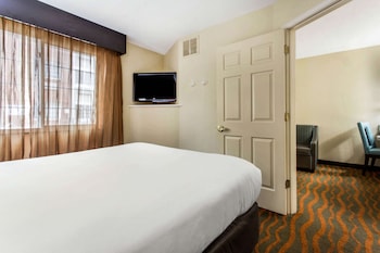 1 Queen Bed, 1 Bedroom Suite, Full Kitchen