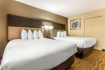 2 Queen Beds, Studio Suite, Full Kitchen