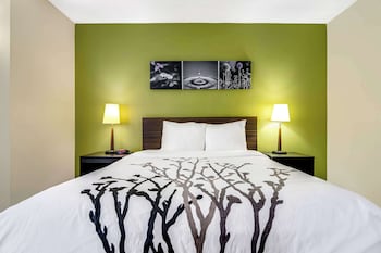 Room, 1 Queen Bed, Accessible, Non Smoking
