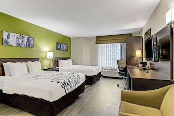 Standard Double Room, 2 Double Beds, Non Smoking
