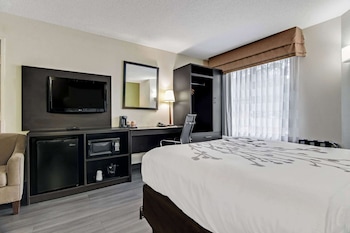 Room, 1 Queen Bed, Accessible, Non Smoking