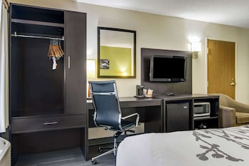 Standard Room, 1 King Bed, Non Smoking