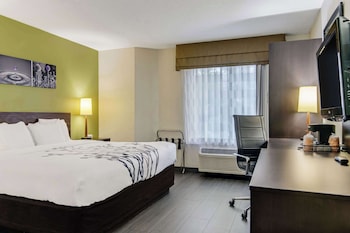 Standard Room, 1 King Bed, Non Smoking