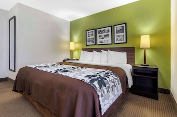 Standard Room, 1 King Bed, Non Smoking