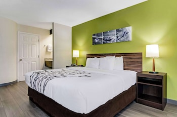 Standard Room, 1 Queen Bed, Non Smoking
