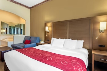 Suite, 1 King Bed, Accessible, Non Smoking (Efficiency)