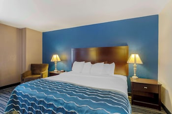 Standard Room, 1 King Bed, Non Smoking