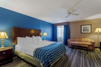 Executive Suite, 1 King Bed, Non Smoking