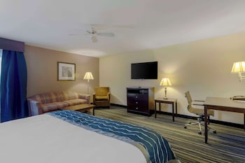 Executive Suite, 1 King Bed, Non Smoking