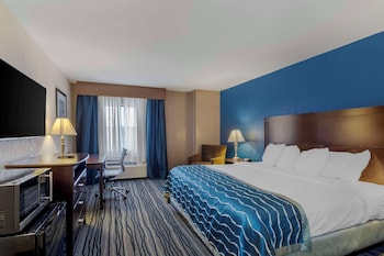 Standard Room, 1 King Bed, Non Smoking