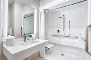 Standard Room, 1 King Bed, Accessible (Hearing, Roll-In Shower)
