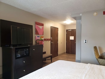 Room, 1 King Bed, Accessible (Roll-In Shower)