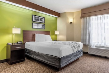 Room, 1 Queen Bed, Accessible, Non Smoking
