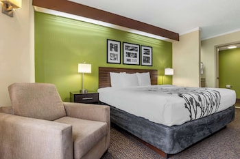 Standard Room, 1 King Bed, Non Smoking