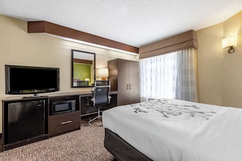 Room, 1 Queen Bed, Accessible, Non Smoking