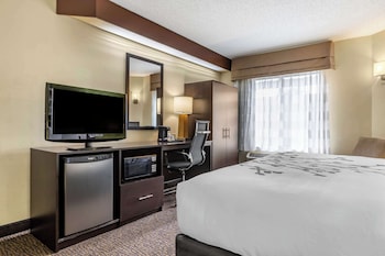 Standard Room, 1 King Bed, Non Smoking
