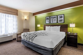 Room, 1 Queen Bed, Accessible, Non Smoking