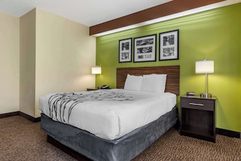 Room, 1 Queen Bed, Accessible, Non Smoking