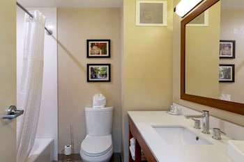 Efficiency, Room, 1 King Bed, Non Smoking, Kitchenette
