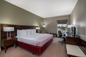 Standard Room, 1 King Bed, Mobility Accessible, Pets Not Allowed